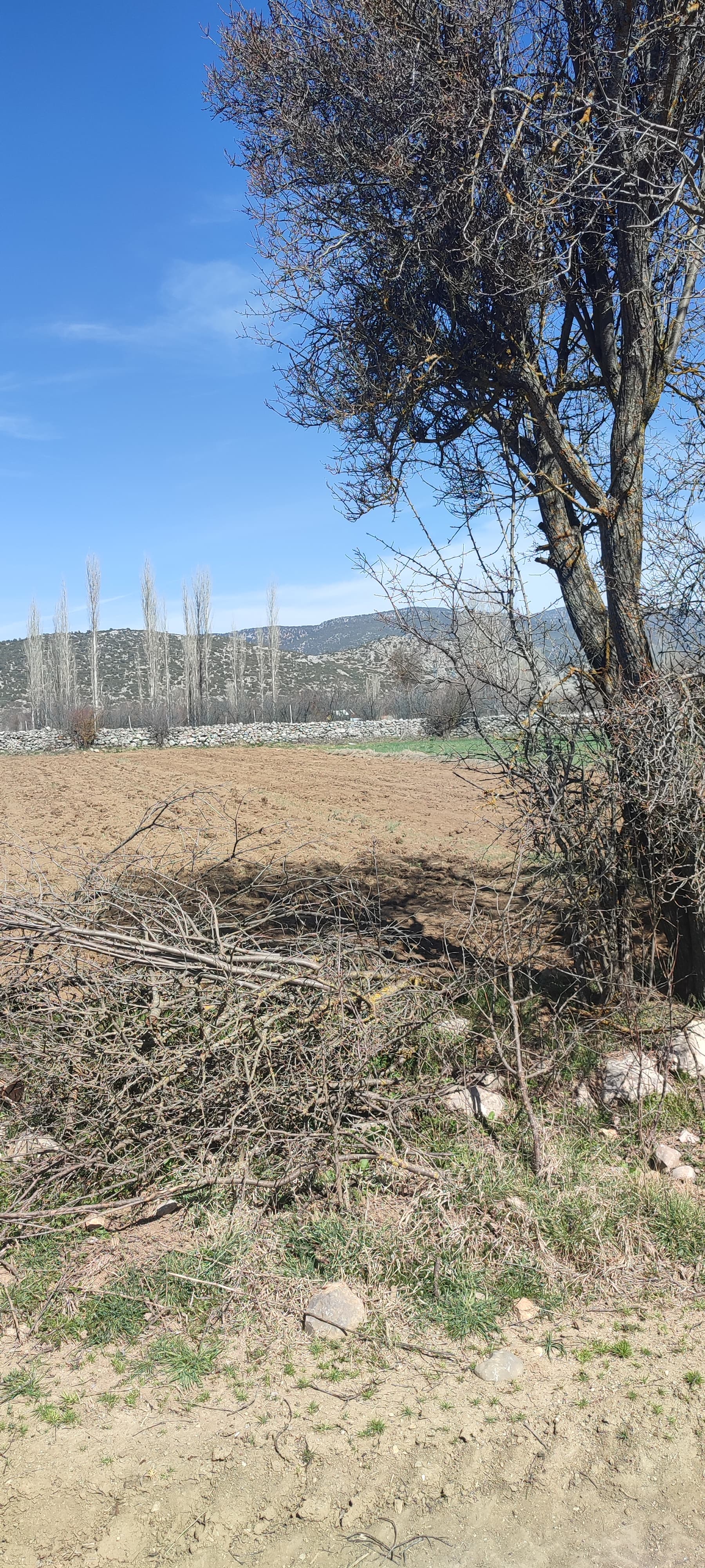 Burdur Ağlasun Hisarköy Muhteşem Konumda Elektrik Yol Su Sorunu Olmaya - BURDUR AĞLASUN fotoğraf 4